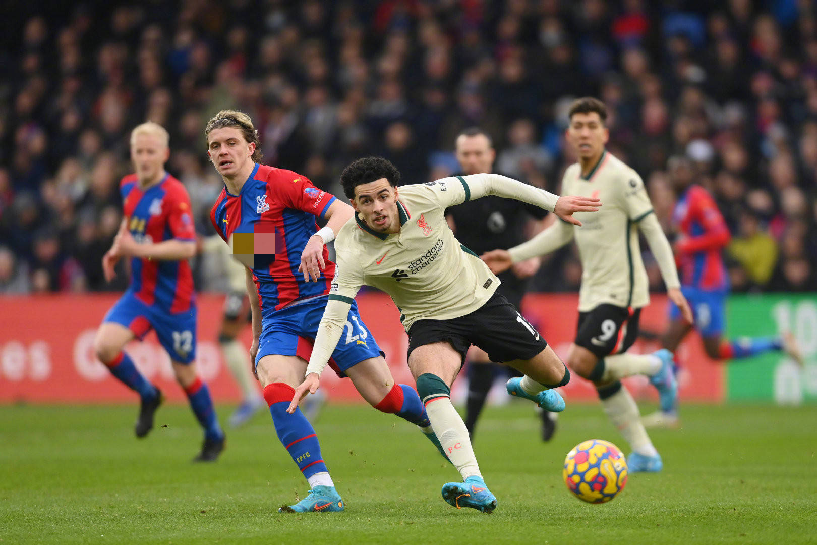 场整体价格 场整体价格